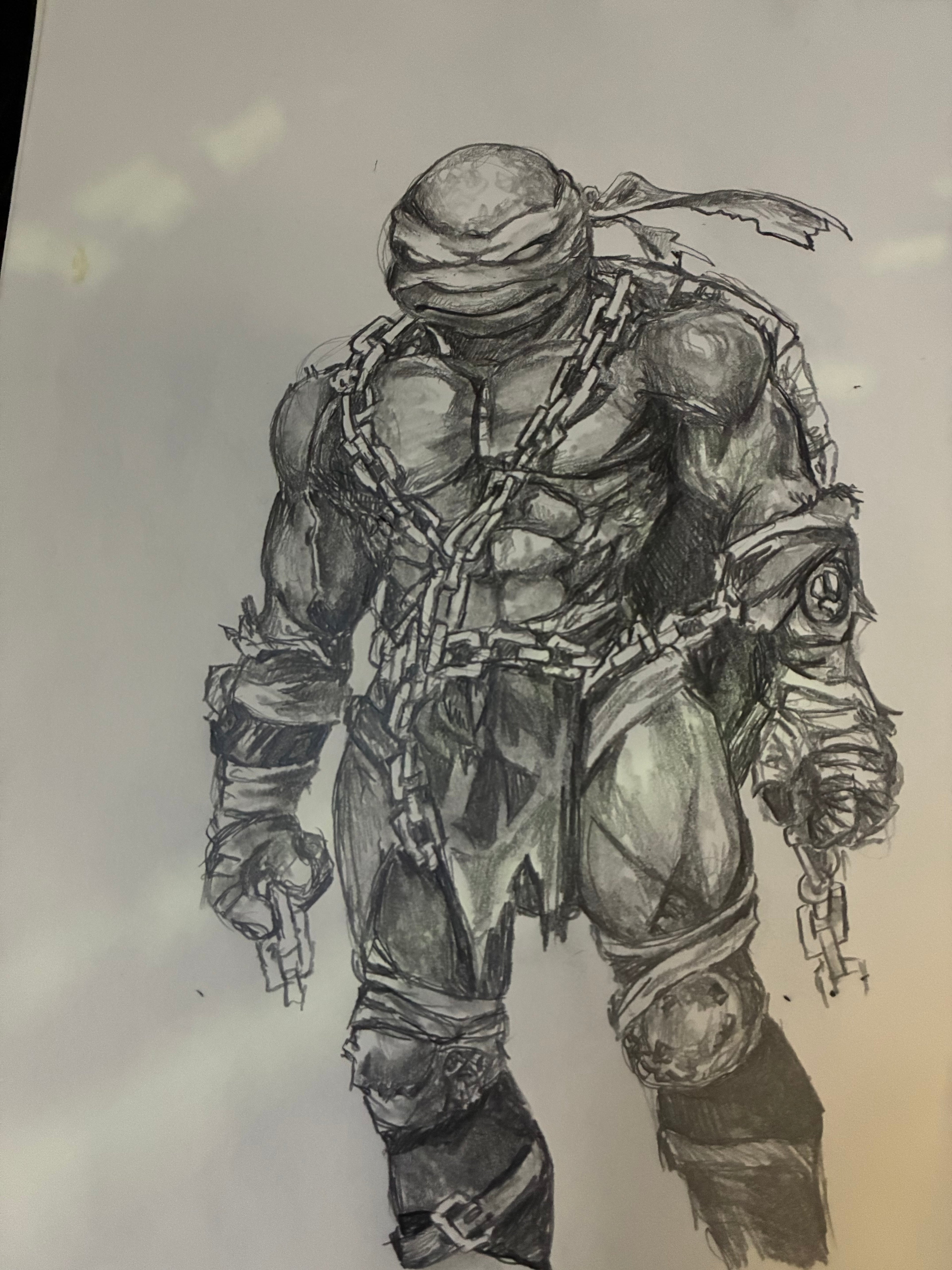 Micheal the ninja turtle